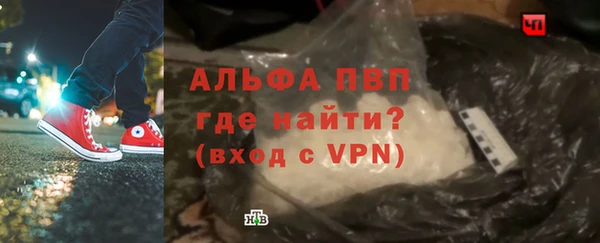 стафф Алексин