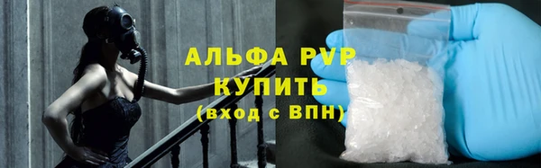 стафф Алексин
