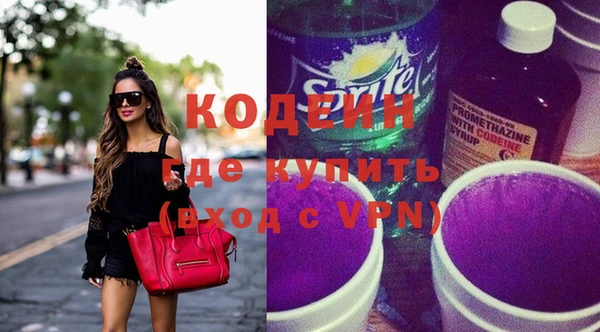 индика Арсеньев