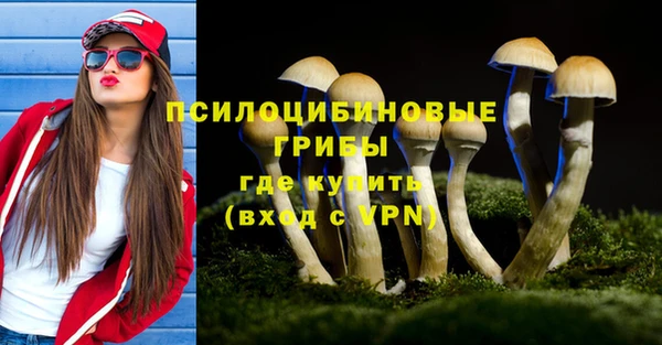 тгк Алзамай
