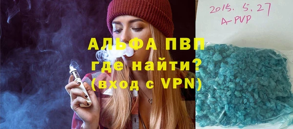 стафф Алексин