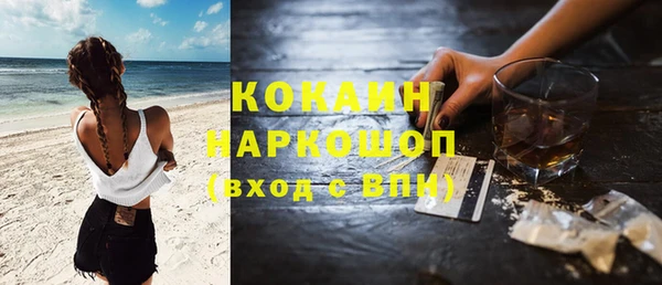 стафф Алексин