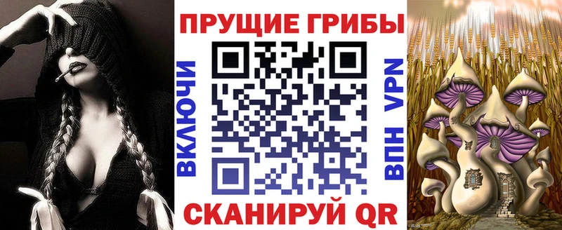 mega ССЫЛКА  Белая Калитва  Галлюциногенные грибы MAGIC MUSHROOMS 